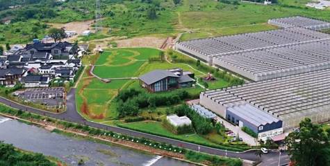 美成画!河源这4个小镇值得一去! 旅游项目规划建议